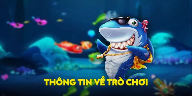 Thông tin về trò chơi