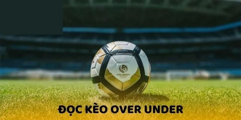 Hướng dẫn cách đọc kèo cực dễ dành cho tân binh