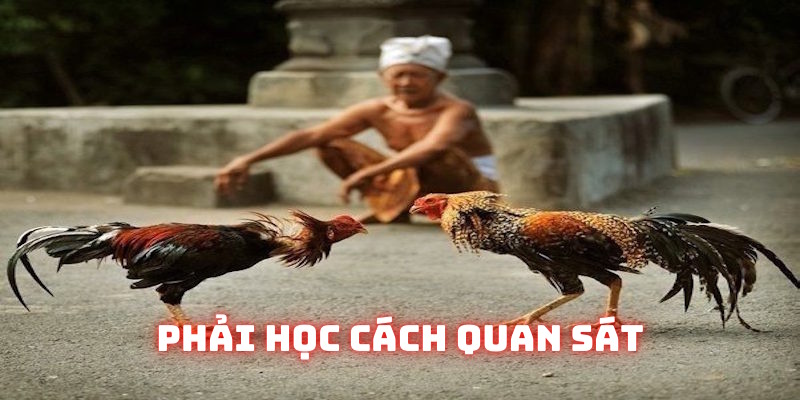Hội viên phải học kỹ năng cách quan sát