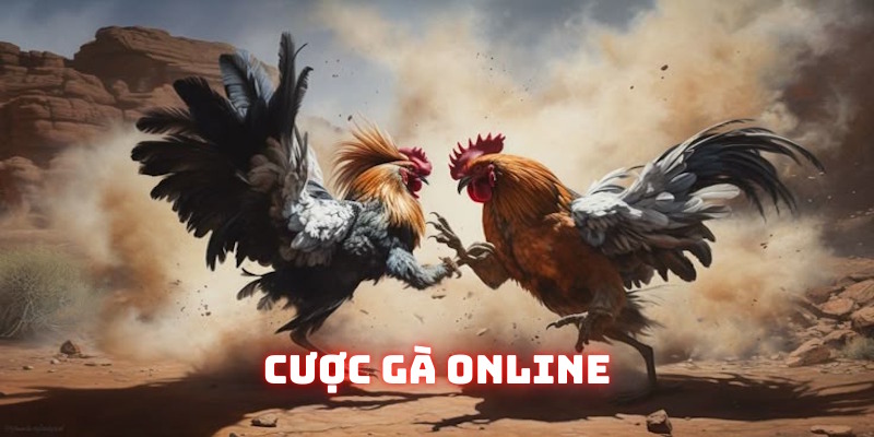 Cược gà online