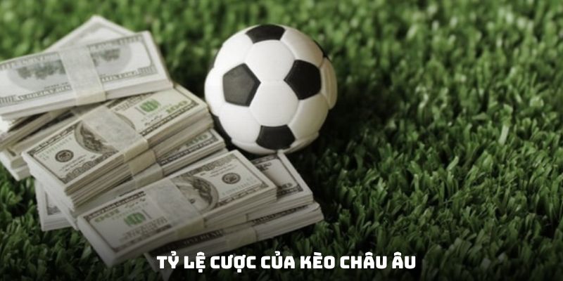 2 mức tỷ lệ cược sẽ gặp